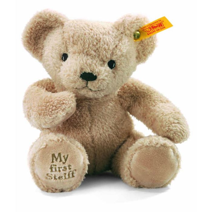 my first teddy bear