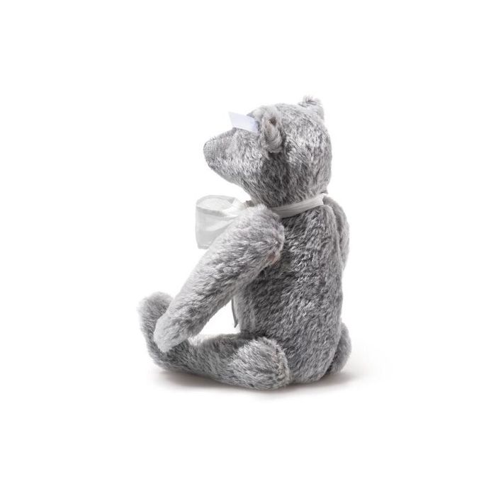 Steiff Club Bear Edition 2026 EAN 421877 | 33 cm | Ebearstore.com