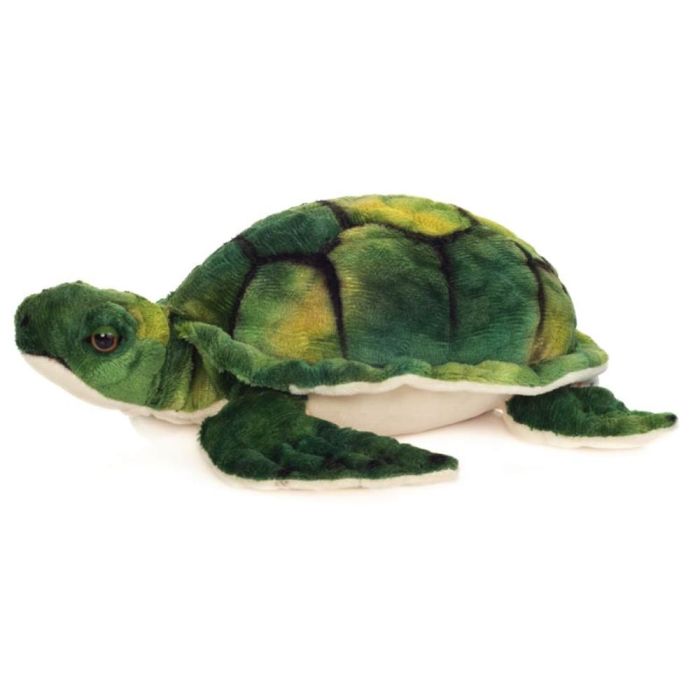 Turtle teddys sales