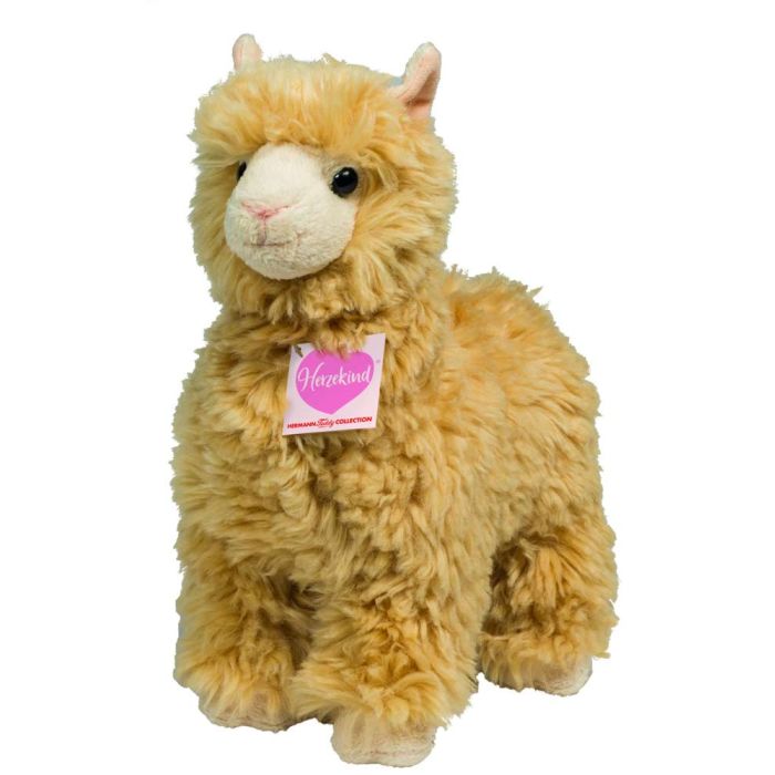 teddy lama