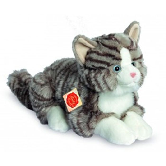 grey cat teddy