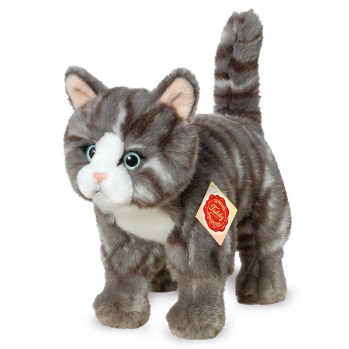 tabby cat teddy