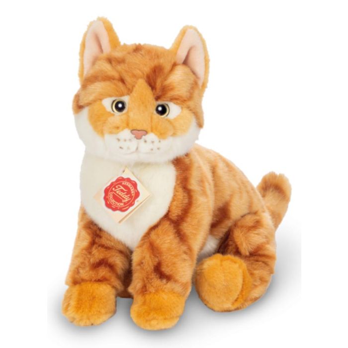 cat teddy