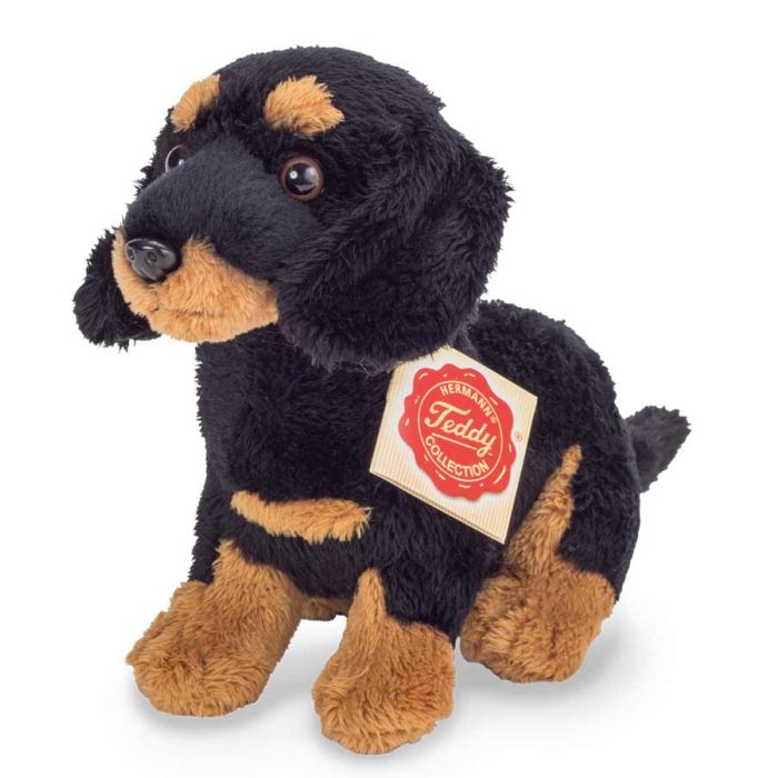 plush dachshund dog