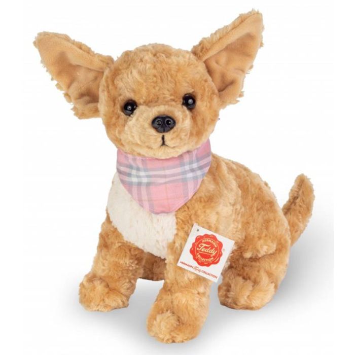 chihuahua teddy