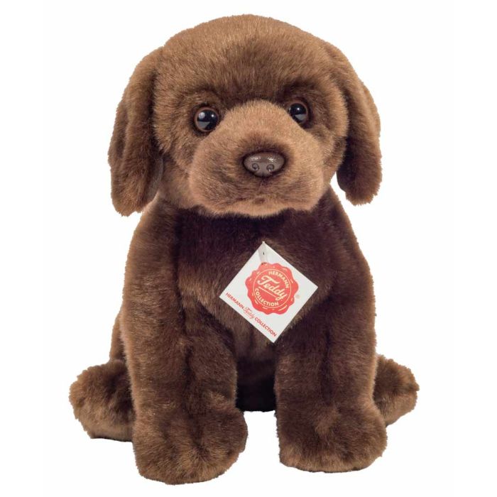 chocolate labrador teddy