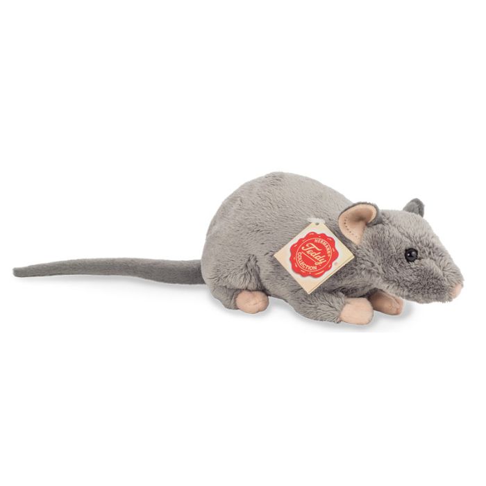 rat teddy