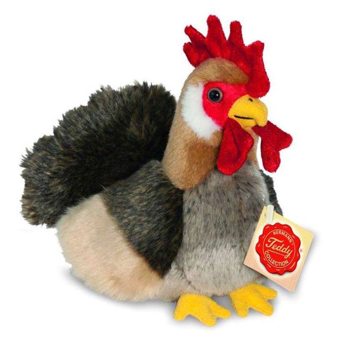 hen teddy