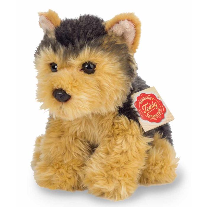 yorkshire terrier teddy