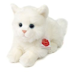 Hermann Teddy Britse Korthaar Kat 906964