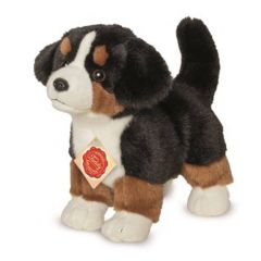 Hermann Teddy Bernese Mountain dog 23 cm. 