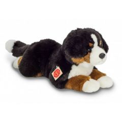 Hermann Teddy Berner Sennen Dog 919407