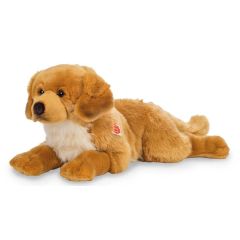 Hermann Teddy Golden Retriever dog 919421