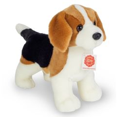 Hermann Teddy Beagle hond 919544