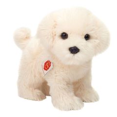 Hermann Teddy Malteser dog 919605