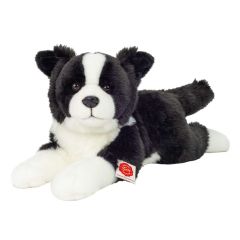 Hermann Teddy Border Collie laying 919612