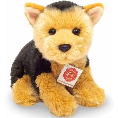 Hermann Teddy Yorkshire terrier puppy 919629