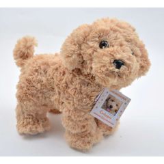 Hermann Teddy Cockapoo dog 919636