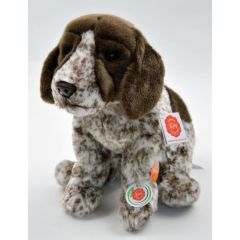 Hermann Teddy Short Haired Pointer puppy 919681