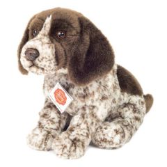 Hermann Teddy Short Haired Pointer puppy 919681