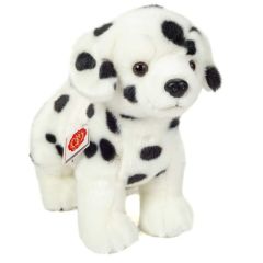 Hermann Teddy Dalmatiër puppy 919698