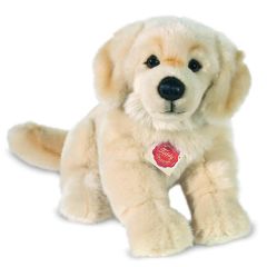 Hermann Teddy Golden Retriever hond 927464