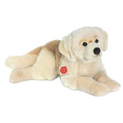 Hermann Golden Retriever dog 927600